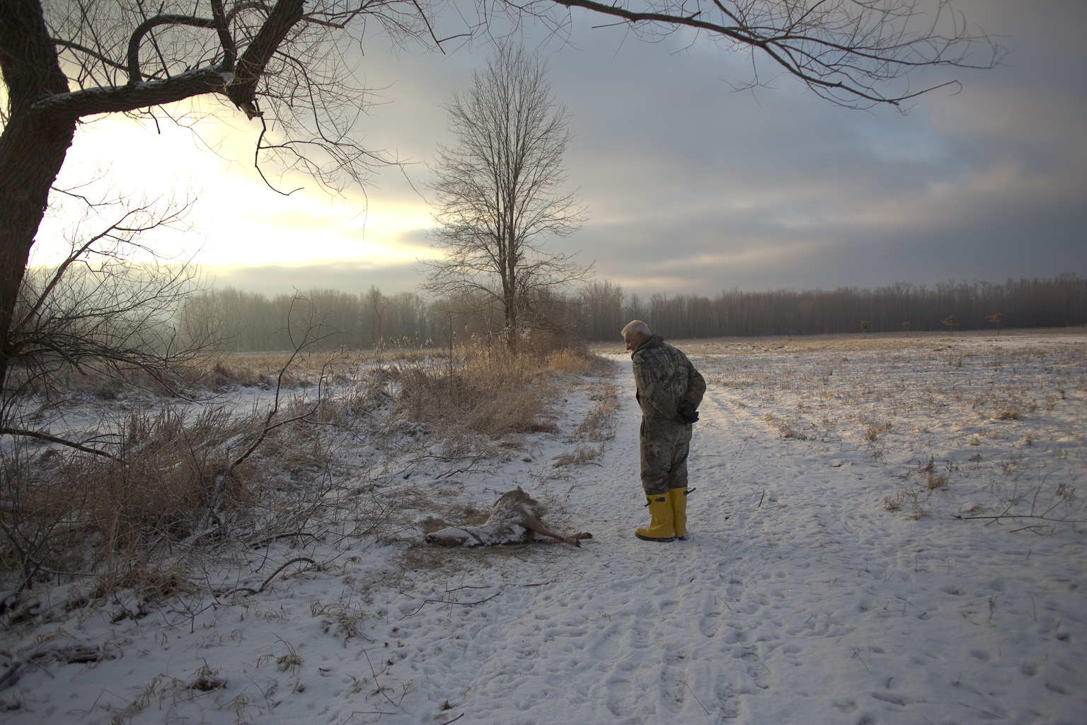 (Name withheld) surveys a deer carcass in a West Henrietta field after it was ravaged by coyotes on January 27, 2013.