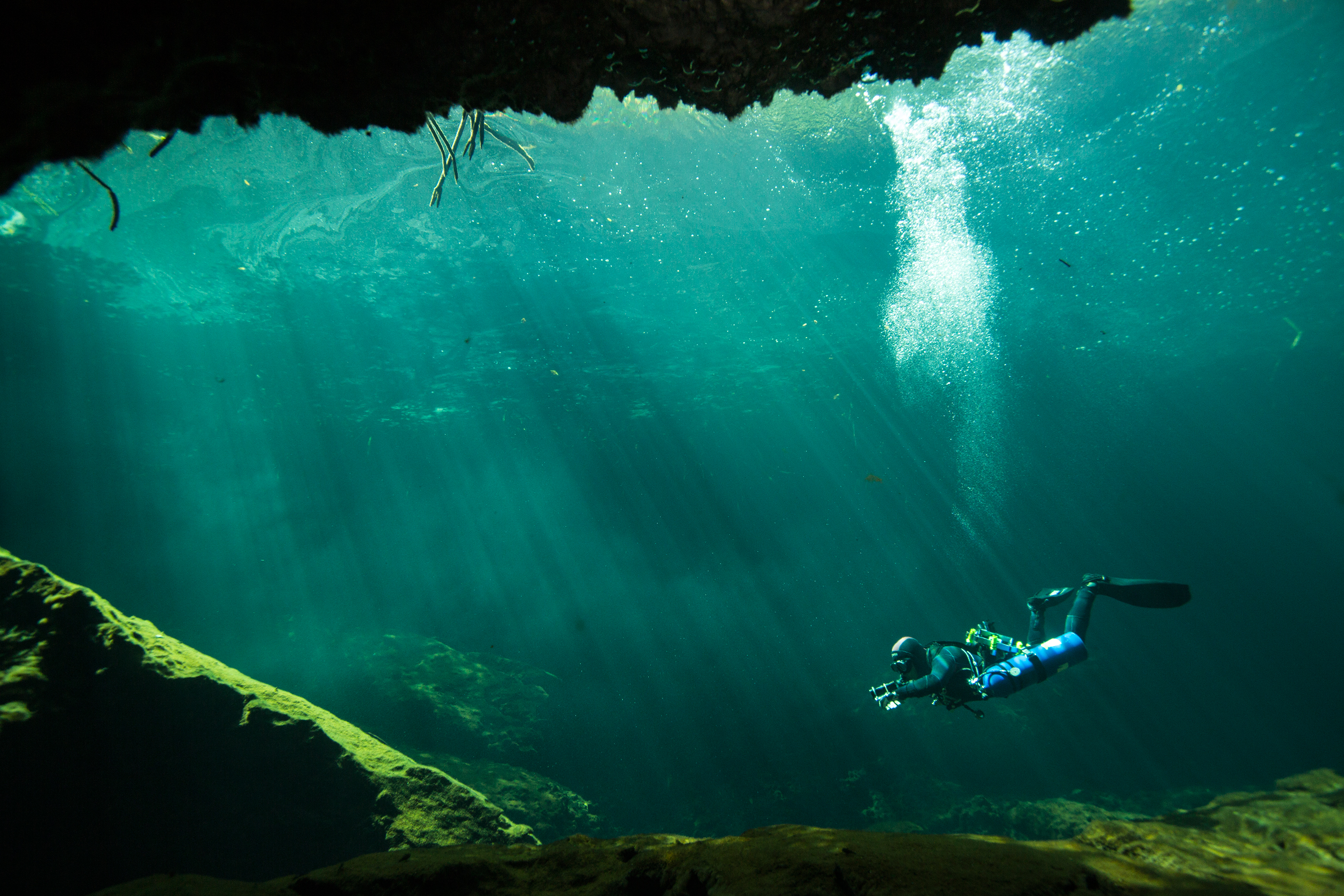 Cave diver Manuel Allende swims into the cavern of Casa Cenote in Tulum, Mexico on August 18th 2015. The underwater cavern and cave are located in a lagoon so divers must make their way through the mangroves before reaching the site.